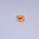 GH Egg Fish Egg