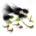 X12 MIXED TROUT FLIES