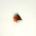 BARBLESS ORANGE TAG RETIRER SEDGE
