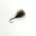 Red Butt Quill CDC