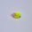 Phils Candy Blob