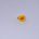 GH Egg Peach