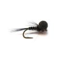 Booby Black Cruncher