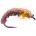 Czech Nymph HARES EAR & AMBER