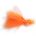 Cats Eyes Orange