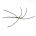 Northern Spider Olive