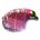GH Lite-Brite Pink Shrimp
