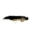 BLACK & GOLD ZONKER HUMUNGUS BOOBY