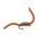 Squirmy Wormy Earthworm