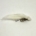 WHITE & SILVER ZONKER HUMUNGUS BOOBY
