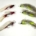 6X POPPER SUSPENDER FRY