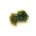 Blob OLIVE