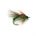 CDC Nymph EMERGER OLIVE