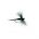 CDC Dry BLACK GNAT
