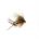 CDC Dry HOPPER HARES EAR