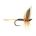 Dry Fly GINGER QUILL