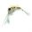 Epoxy Nymph SHRIMP