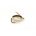 Foam Fly CORIXA