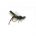 Foam Fly HAWTHORN