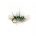 Foam Fly SUGAR LUMP BUZZER BLACK