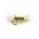 Foam Fly SUGAR LUMP BUZZER OLIVE