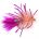 Flexi Blob Pink Candy