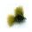 Fritz Mini Cats OLIVE