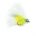 Fritz Mini Cats WHITE & LIME
