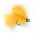 Fritz Mini Cats YELLOW