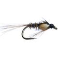 JC Fly JC Diawl Bach