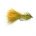 Lure TADPOLE OLIVE