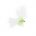 UV Straggle Mini Lure Cats Whisker