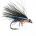 UV Straggle Cormorants Kingfisher
