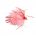 Blob Hot Coral