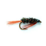 50 10 G Fly Box 25 100 or 240 x Mixed Holographic Diawl Bachs Nymphs Flies for Trout Fly Fishing 