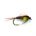 Nymph PHEASANT TAIL LIME