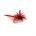 Parachute Dry MIDGE RED