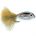 Epoxy Fry RAINBOW TROUT