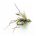 20 RAINBOW BEAD FLIES