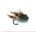 Special Lure MINI MUDDLER GOLD