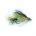 Special Lure RAINBOW FRY FRITZ