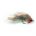 Special Lure ZONKER NATURAL