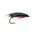 Sea Trout AMERICAN EXPRESS
