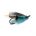 Salmon Treble BLUE CHARM