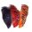 GOLDEN PHEASANT - 1/2 Collar