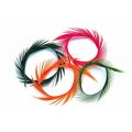 GOOSE BIOT STRIPS