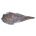GROUSE WHOLE WINGS