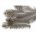 PARTRIDGE - ENGLISH GREY - NECK HACKLES BROWN BACK