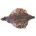 FRENCH PARTRIDGE COMPLETE SKINS with wings & tails