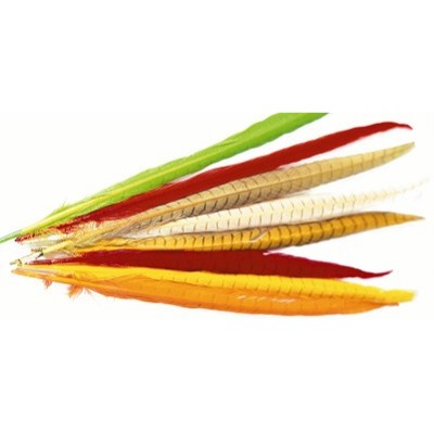 PHEASANT COCK RINGNECK - CENTRE TAILS Mixed (colour extracted)
